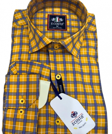 Bright Horizon Check Shirt